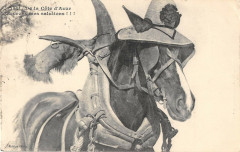 De La Cote D'Azur Recevez Mes Salutations Cheval -
													06 Alpes Maritimes
												