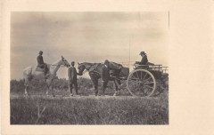 Carte Photo Des Pyrenees Orientales Attelage Certainement Saint-Cyprien 66 à Py
