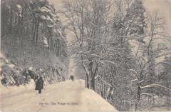 Les Vosges En Hiver