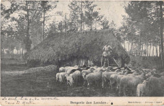 Bergerie Des Landes
