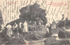 Le Pouliguen Pen Chateau A Maree Basse Rendez Vous au Pouliguen