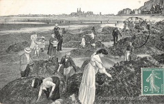 Dieppe Chercheurs De Coquillages à Dieppe
