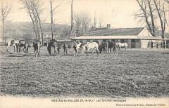 Nesles La Vallee Les Grands Herbages