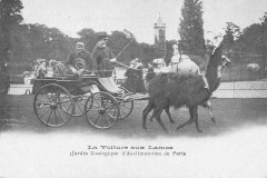 La Voiture aux Lamas - Jardin Zoologique d'Acclimatation de Paris à Neuilly-sur-Seine