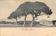 Pins De La Bocca