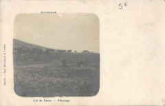 Col De Diane Paturage