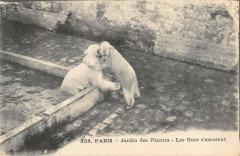 Paris Jardin Des Plantes Les Ours S'Amusent à Paris