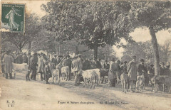 Types Et Scenes Champetres Marche Aux Veaux -
													19 Corrèze
												