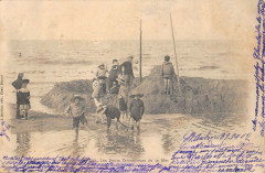 Les Petits Travailleurs De La Mer