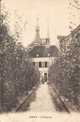 Ervy L'Hopital