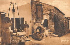 Environs De Saint Denis D'Oleron Scene Villageoise De La Bree