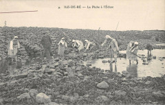 Ile De Re La Peche A L'Ecluse -
													17 Charente Maritime
												