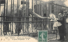 Paris 5e Jardin Des Plantes Le Gros Elephant à Paris 5e