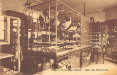 Ecole Edgar-Quinet - Salle des Collections à Paris 15e