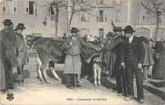 Nos Campagnes Conclusion Du Marche