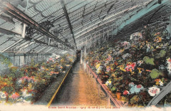 Igny Ecole Saint Nicolas Une Serre à Igny