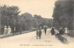 Bois De Cise La Grande Avenue Vers Le Bois -
													80 Somme
												