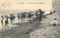 Mers A La Recherche Des Coquillages