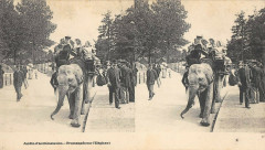 Jardin d'Acclimatation - Promenade sur l'Eléphant -
																					92200 Neuilly-sur-Seine
																			