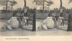 Jardin d'Acclimatation - Départ sur le Chameau à Neuilly-sur-Seine