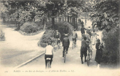 Bois de Boulogne - L'Allée des Erables à Paris 16e