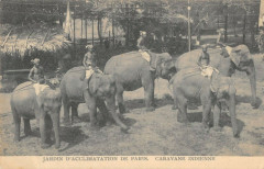 Jardin d'Acclimatation de Paris - Caravane Indienne à Neuilly-sur-Seine