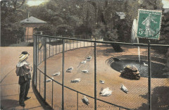 Paris Le Jardin Des Plantes Les Mouettes -
																					75000 Paris
																			