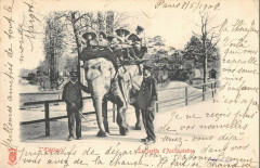 L'Eléphant - Le Jardin D'Acclimatation à Neuilly-sur-Seine