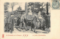 Carte postale ancienne Le Jardin d'Acclimatation - La Promenade sur le Chameau
                                                                     à Neuilly-sur-Seine
                                