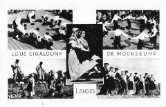 Landes Lous Cigalouns De Mourseuns