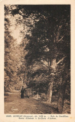 Aubrac Bois De Gandilhac Route D'Aubrac A Saint-Chely D'Aubrac -
													12 Aveyron
												