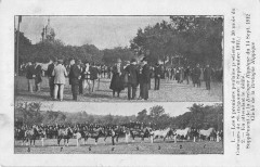 Bretagne Hippique Les 8 Poulains Bretons Postiers Saint-Thegonnec 1912