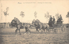 Le Haras Du Pin Attelage De Demi Sang
