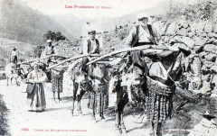 Types de Muletiers d'Andorre -
													09 Ariège
												