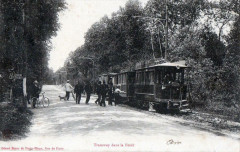 Paris Plage Tramway Dans La Foret (Train En Beau Plan