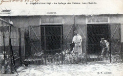 Gennevilliers Le Refuge Des Chiens Les Chenils à Gennevilliers