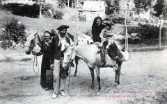 Luchon Paysans Revenant Du Marche (gros plan