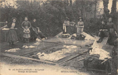 Au Pays Landais Au Lavoir Groupe De Laveuses (Animee