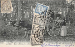 Landes Dans La Foret Mise En Barrique De La Resine (dos non divisé)  Affr