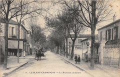 Le Plant Champigny Le Boulevard Du Centre