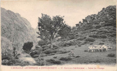 Herault Environs D'Ardouane Scene Des Champs -
													34 Hérault
												