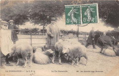 La Normandie La Vie Normande Au Marche Aux Moutons