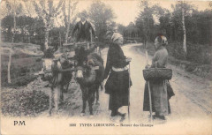 Types Limousins Retour Des Champs -
													87 Haute Vienne
												