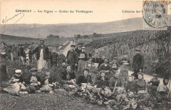 Epernay Les Vignes Gouter Des Vendangeurs à Épernay