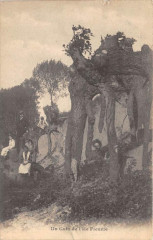 Un Coin De L'Ile Fleurie (cliché vertical -
													94 Val de Marne
												