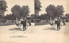 Carte postale ancienne Jardin d'Acclimatation - Promenade dans la Voiture à Autruche
                                                                     à Neuilly-sur-Seine
                                