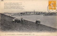 St Malo Vue Generale