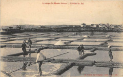 A Travers Les Marais Salants Recolte Du Sel -
													44 Loire Atlantique
												