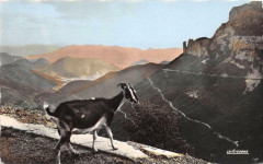 25 Col Du Rousset Les Lacets Isard -
													26 Drôme
												