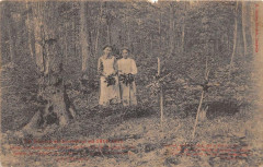 Tombes De Chasseurs 1914